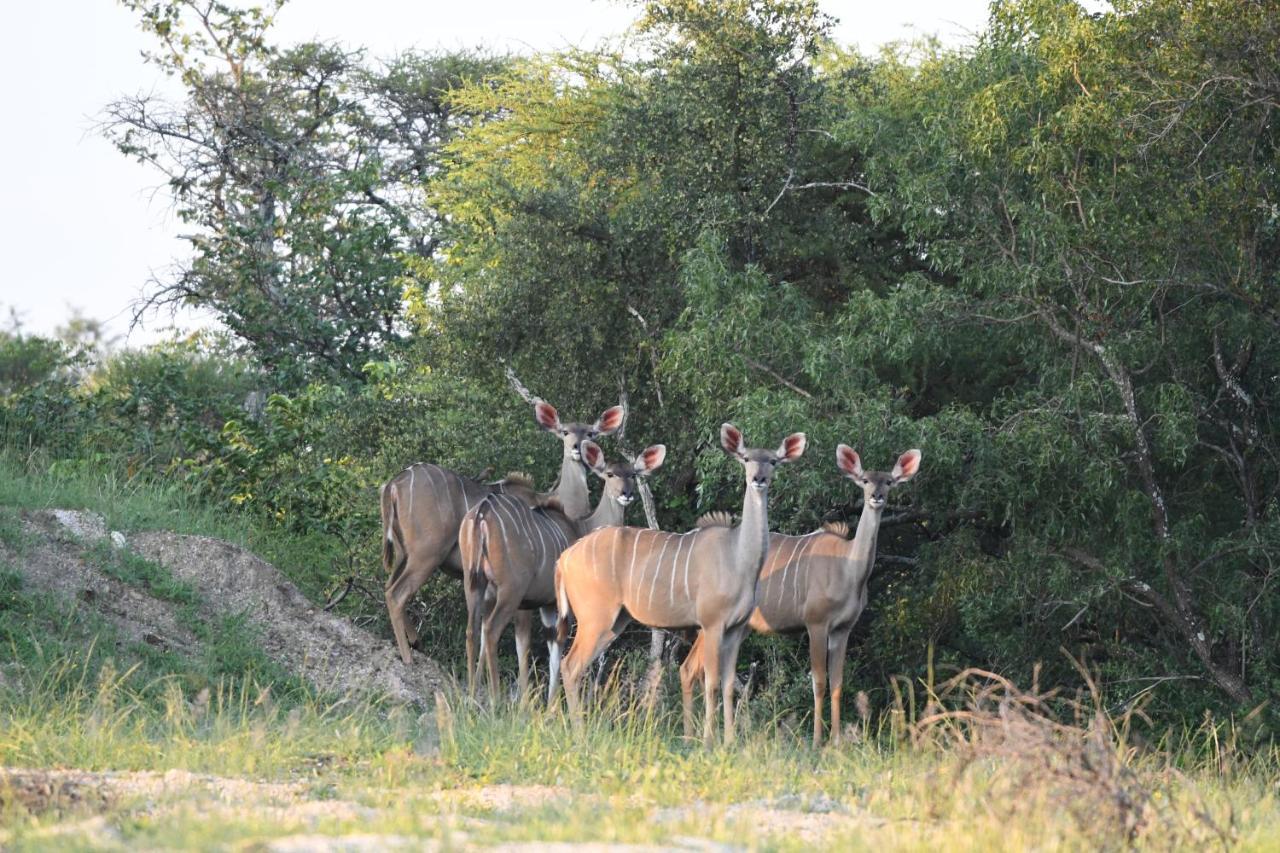 Ngangane Lodge & Reserve 弗朗西斯敦 外观 照片